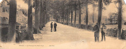 Dinan     22         Carte  Panoramique  Promenade Des Petits Fossés    27.5 X 11.    (voir Scan) - Dinan