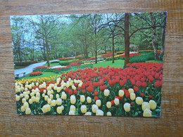 Pays-bas , Keukenhof , Lisse ""beaux Timbre Et Cachets "" - Lisse