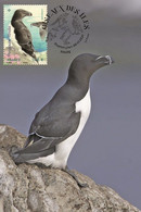 France 2021 - Oiseaux Des Iles Pingouins Torda Carte Maximum - 2020-…