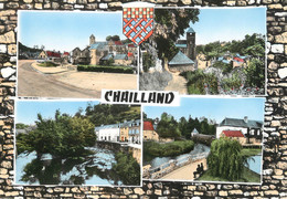 / CPSM FRANCE 53 "Chailland" - Chailland