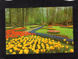 100721    Paesi  Bassi,  "Keukenhof" Lisse-Holland,  VGSB - Lisse