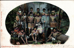 ! Indios , Brazil, Brasilien, Guarany, 1906 - Indianer