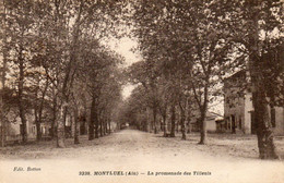 01. CPA - MONTLUEL - La Promenade Des Tilleuls - 1933 - Scan Du Verso - - Montluel