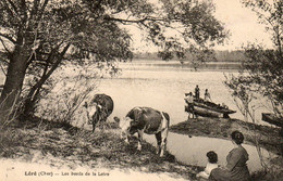 18. CPA - LERE - Bords Du Cher - Vaches Au Paturage - Barque - - Lere