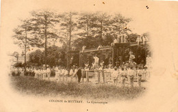 37. CPA - METTRAY  La Colonie - Gymnastique - Agrès - Poutre - Gymnastes - - Mettray