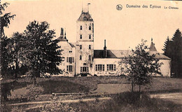 Domaine Des Epioux - Le Château (Nels, Edit L. Duparque) - Florenville