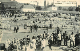 St Bonnet * Le Champ De Foire * Le Marché Aux Moutons * Marchands - Autres & Non Classés