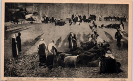 Asie Palestine - JERUSALEM , Animal Market At Herod's Gate - J. Benor Halter - - Palästina