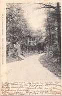 Wageningen - Holleweg - 918 - Old Postcard - 1905 - Netherlands - Used - Wageningen