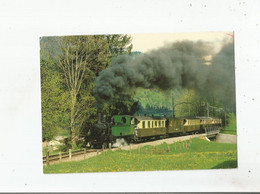 GSTEIGWILER 9 5 1982 TRAIN A VAPEUR AVEC LOCOMOTIVE G 3/4 11 - Gsteig Bei Gstaad