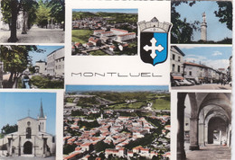 MONTLUEL (01) Vues Multiples - Montluel