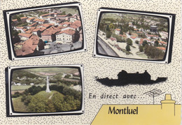 MONTLUEL (01) Vues Multiples - Montluel