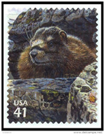 Etats-Unis / United States (Scott No.4198c - Toudra Alpine / Alpine Tundra) (o) - Usados