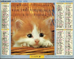 CALENDRIER - ALMANACH DU FACTEUR - CHAT PERSAN - CHATON - COLLECTIF - 1993 - Agendas Vierges