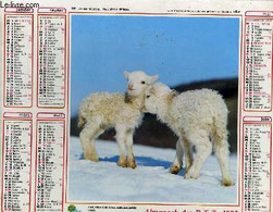 CALENDRIER - ALMANACH DES P.T.T. - JEUNES MOUTONS - FILLETTE ET CHIEN BLANC - COLLECTIF - 1985 - Blank Diaries