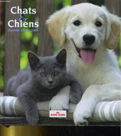 CHATS & CHENS AGENDA 2008-2009 - COLLECTIF - 2008 - Blank Diaries