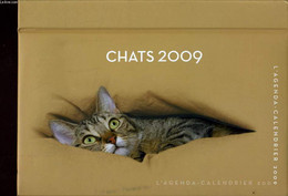 L'AGENDA CALENDRIER CHATS 2009 - JACQUELINE LASRY - 2008 - Agendas