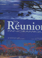 LA REUNION PANORAMIQUE - VAXELAIRE DANIEL - 2001 - Outre-Mer