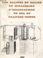 Les Salines De Salins : Un Millénaire D'exploitation Du Sel En Franche-Comté : Contribution à L'archélogie Industrielle - Franche-Comté