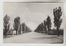 CPSM DACHAU (Allemagne-Bavière) - Rue Principale Dans Le Camp - Dachau