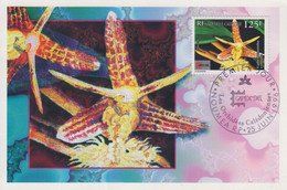 Carte  Maximum  1er  Jour   NOUVELLE CALEDONIE   Orchidées   Calédoniennes   1996 - Maximumkaarten