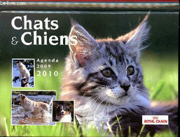 Chats Et Chiens Agenda 2009-2010 - Collectif - 2009 - Agendas Vierges