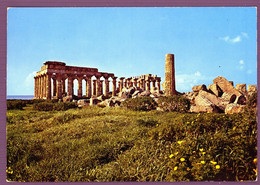 °°° Cartolina - Selinunte Tempio E E F Viaggiata (l) °°° - Trapani