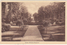 Doorn Keizer Wilhelm-Rosarium SN537 - Doorn