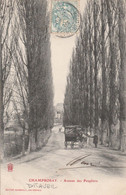 Delcampe - 91 - DRAVEIL - Champrosay - Avenue Des Peupliers - Draveil