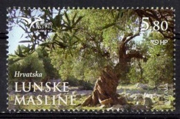 Croatia 2017. EUROMED Issue. Trees Of The Mediterranean, Lunske Masline, Olive Tree In Lun. Flora.  MNH - Kroatien