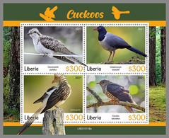 LIBERIA 2021 MNH Cuckoos Kuckuck Coucous M/S - OFFICIAL ISSUE - DHQ2113 - Cuckoos & Turacos