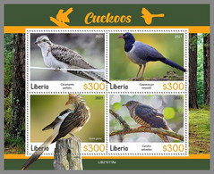 LIBERIA 2021 MNH Cuckoos Kuckuck Coucous M/S - IMPERFORATED - DHQ2113 - Cuckoos & Turacos