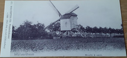 Meise Wolvertem Wolverthem Moulin á Vent Windmolenkouter 1686-1914 - Meise