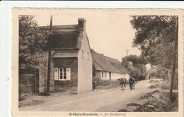 St-Maria-Horebeke : De Broekstraat ( Met Koeien ) - Horebeke