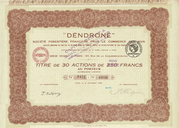 Titre Ancien -Déndrone - Société Forestière Française Pour Le Commerce Des Bois - Titre De 1920 - Titre De 30 Actions - - Agriculture