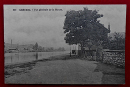 CPA 1920 Andenne - Vue Générale De La Meuse - Andenne