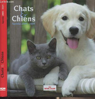 Chats & Chiens - Agenda 2008-2009 - Collectif - 2008 - Agendas Vierges