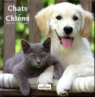 Chiens Et Chats Agenda 2008-2009 - Collectif - 2008 - Agende Non Usate