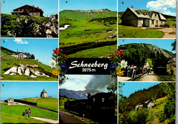 7882 - Niederösterreich - Schneeberg , Fischerhütte , Hochschneeberg , Bahnstation , Dambröckhaus , Mehrbildkarte - Nich - Schneeberggebiet