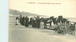 Menton * La Promenade Du Midi * Les Loueurs D'ânes * âne - Menton