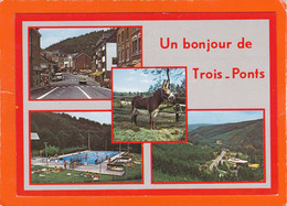 Trois-Ponts - Multivues - Piscine - âne - Trois-Ponts