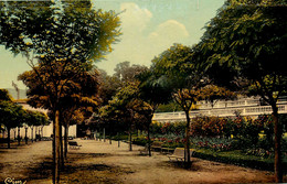 Annonay * Le Parc Des Platanes * Jardin Public - Annonay