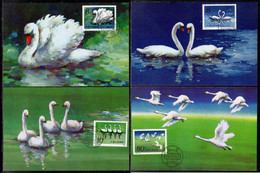 China 1983 Swans Set On Maximum Cards First Day Issue T83 - Cygnes