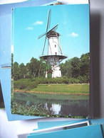 Nederland Holland Pays Bas Tholen Met Witte Molen En Omgeving - Tholen