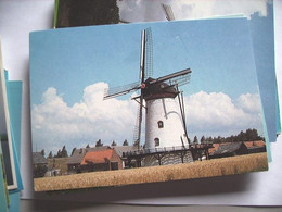 Nederland Holland Pays Bas Tholen Met Ronde Witte Molen En Omgeving - Tholen