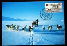 GREENLAND 2000    Minr.346 Maxi CARDS ( Lot 321 ) - Cartoline Maximum