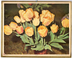 CALENDRIER GF 1964 - Bouquet De Roses, Imprimeur Oberthur Rennes - Big : 1961-70