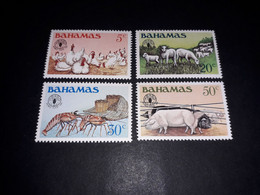 A9MIX33 BAHAMAS 1981 WORLD FOOD DAY SERIE 4 VALORI "XX" - Bahamas (1973-...)