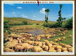 CALENDRIER GF 1966 - Moutons à La Lavogne En Aveyron, Jeunes Chiots, Imprimeur Oller (calendrier Double) - Grand Format : 1961-70
