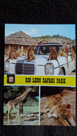 CPSM RIO LEON SAFARI PARK SINGE GIRAFE LIONCEAU AUTO VOITURE MERCEDES - Lions